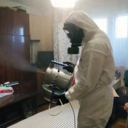 Дезинфекция от клопов в Хатуни
