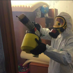 Уничтожение клопов в квартире. Хатунь